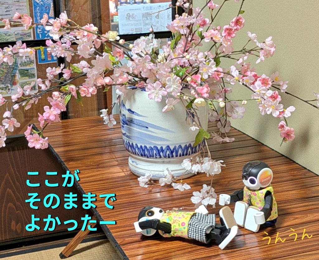 友助(ともすけ) tweet media