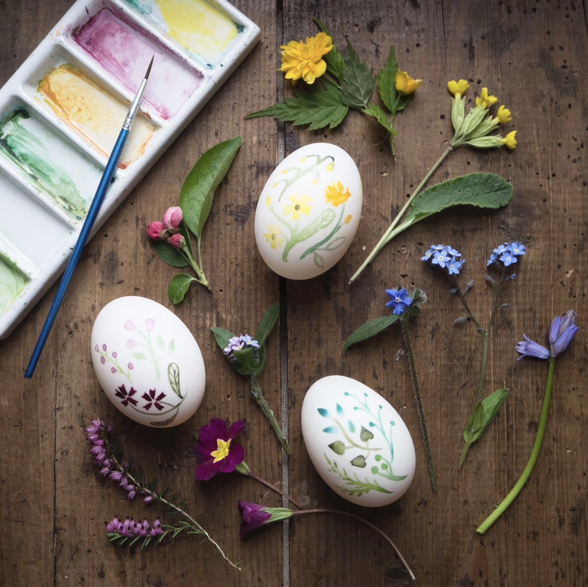 Emma Mitchell 💙 tweet media