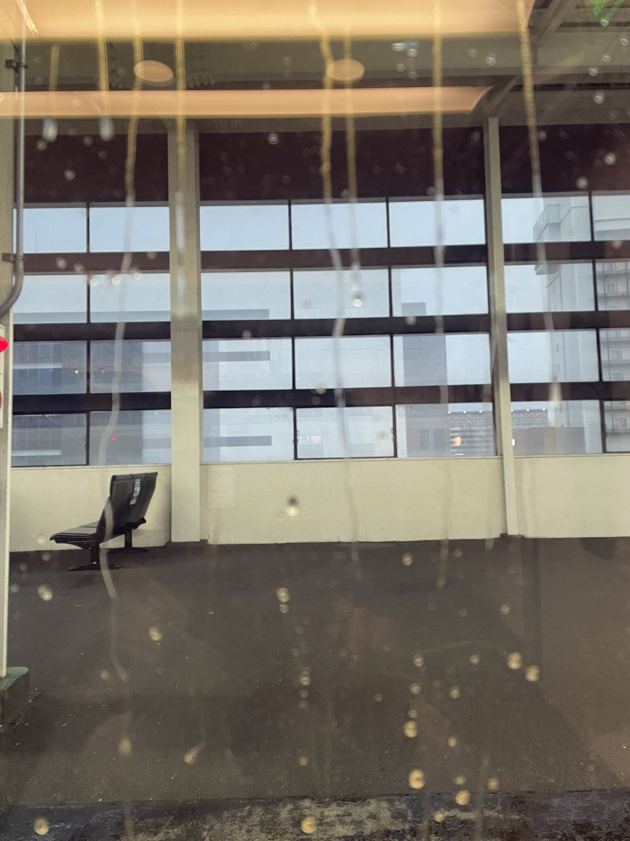 ハロ⭐︎ぴゅあしゅがー tweet media