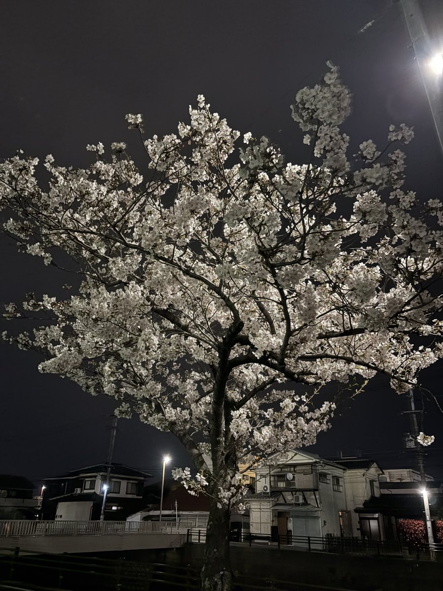 bar_sdr's tweet image. 04/04(土)OPEN 21:00
いくみいます
週末はお花見な感じで
本日もよろしくお願いします！
#barsdr