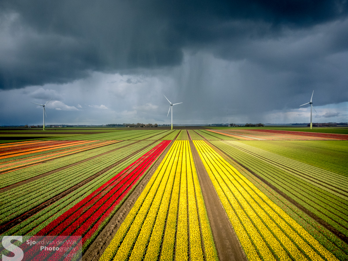 Sjoerd van der Wal tweet media