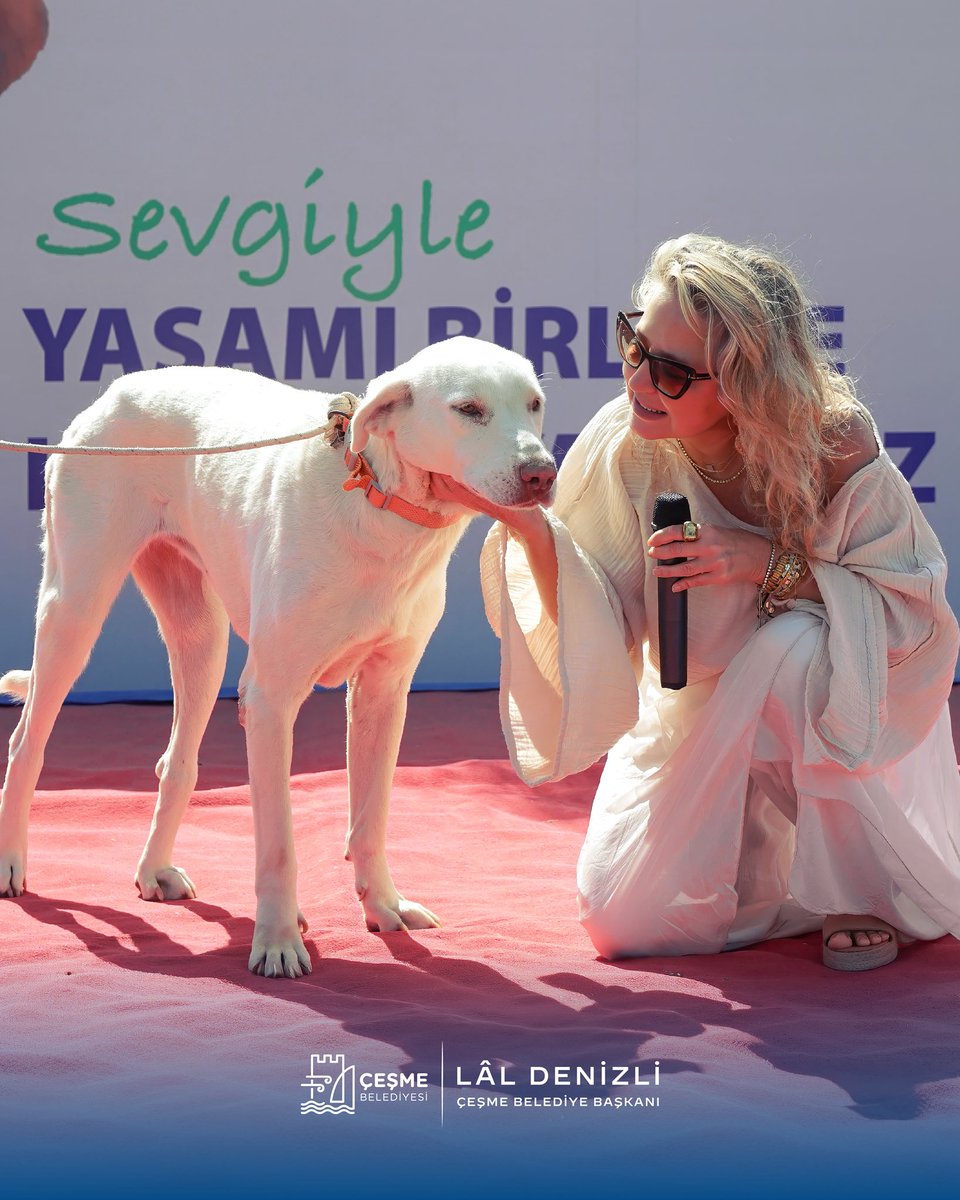 Çeşme Belediyesi tweet media