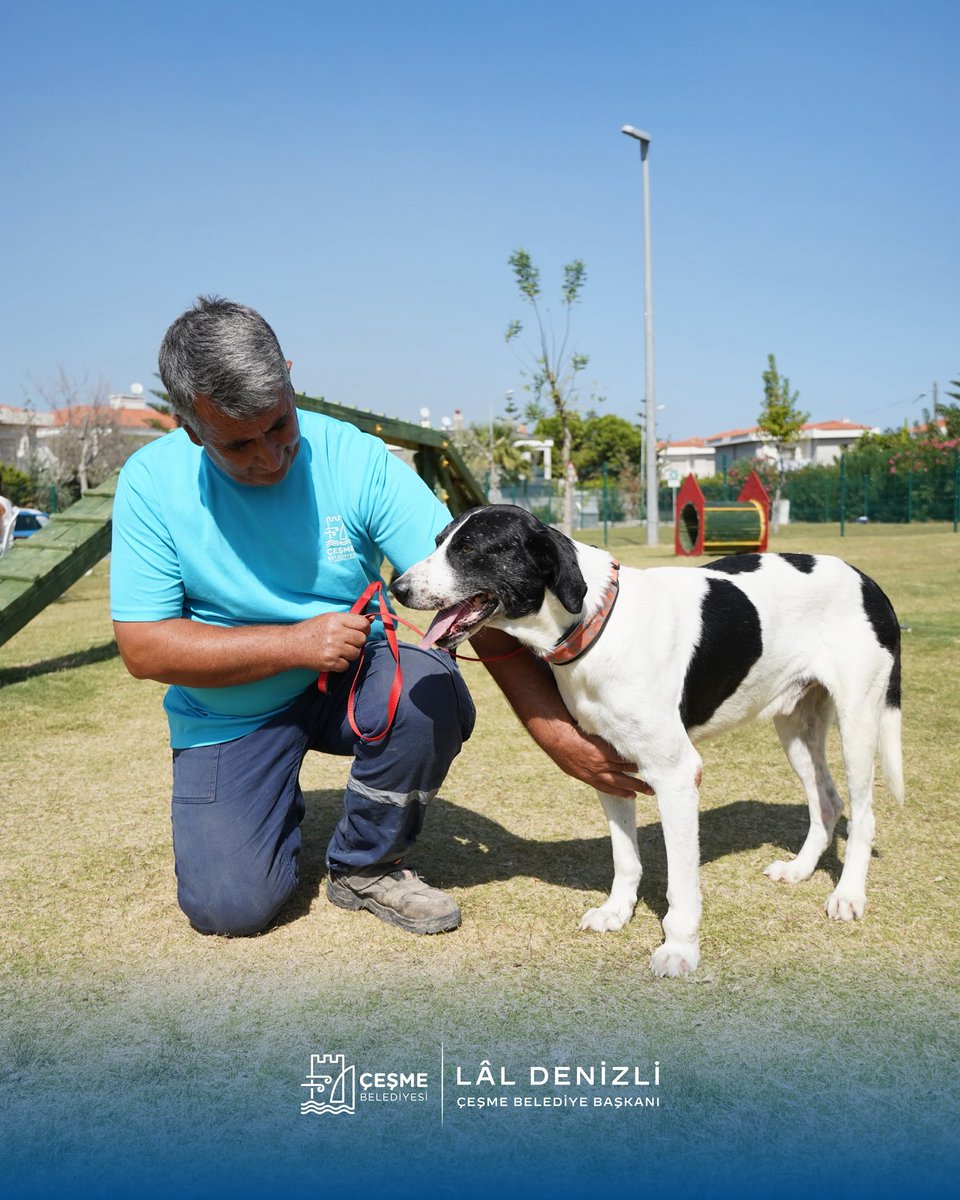 Çeşme Belediyesi tweet media