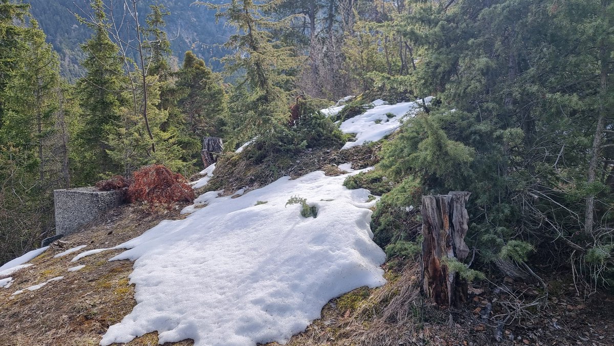 Johanns (Alpen)weer @johannsalpenweer.bsky.social tweet media