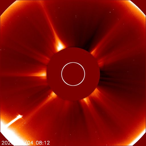burkley65's tweet photo. Comet C/2026 A1 (MAPS) now bright in LASCO C2 images. Credit ESA &amp; NASA https://t.co/dxIj2SoQxv