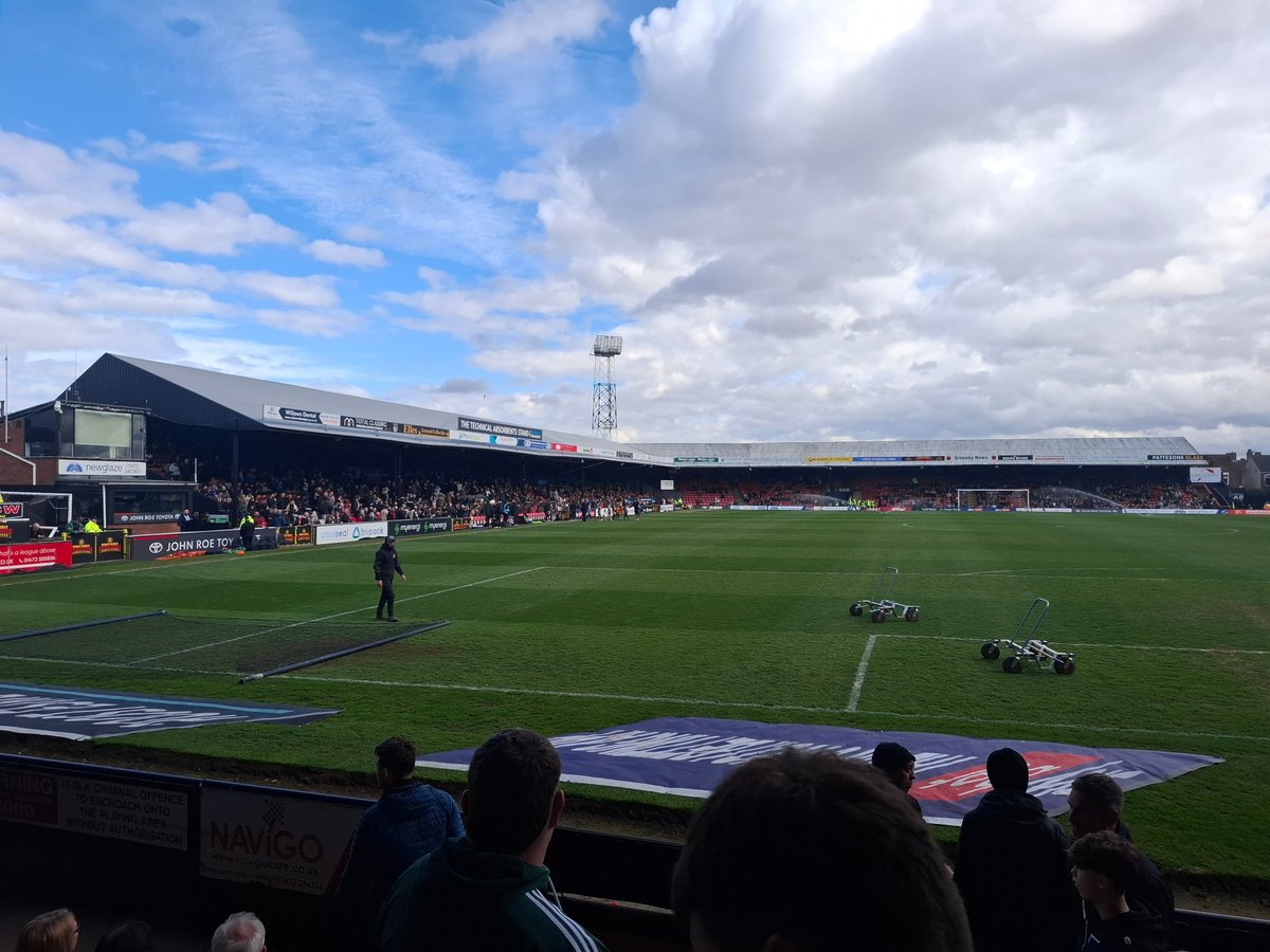 Daniel Tortoise tweet media