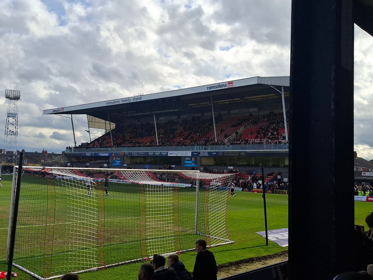 Daniel Tortoise tweet media