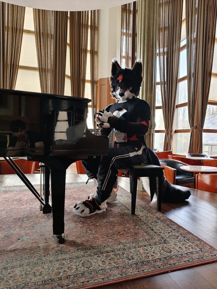 Spring泉➡️FurstClass tweet media