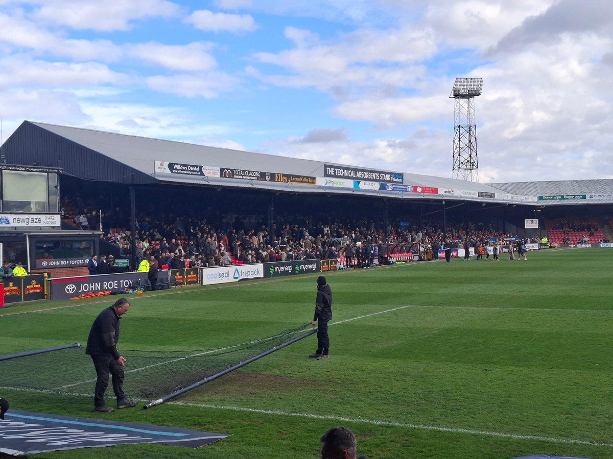 Daniel Tortoise tweet media