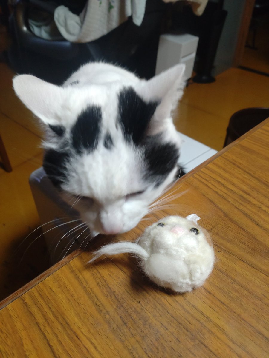 もなか tweet media