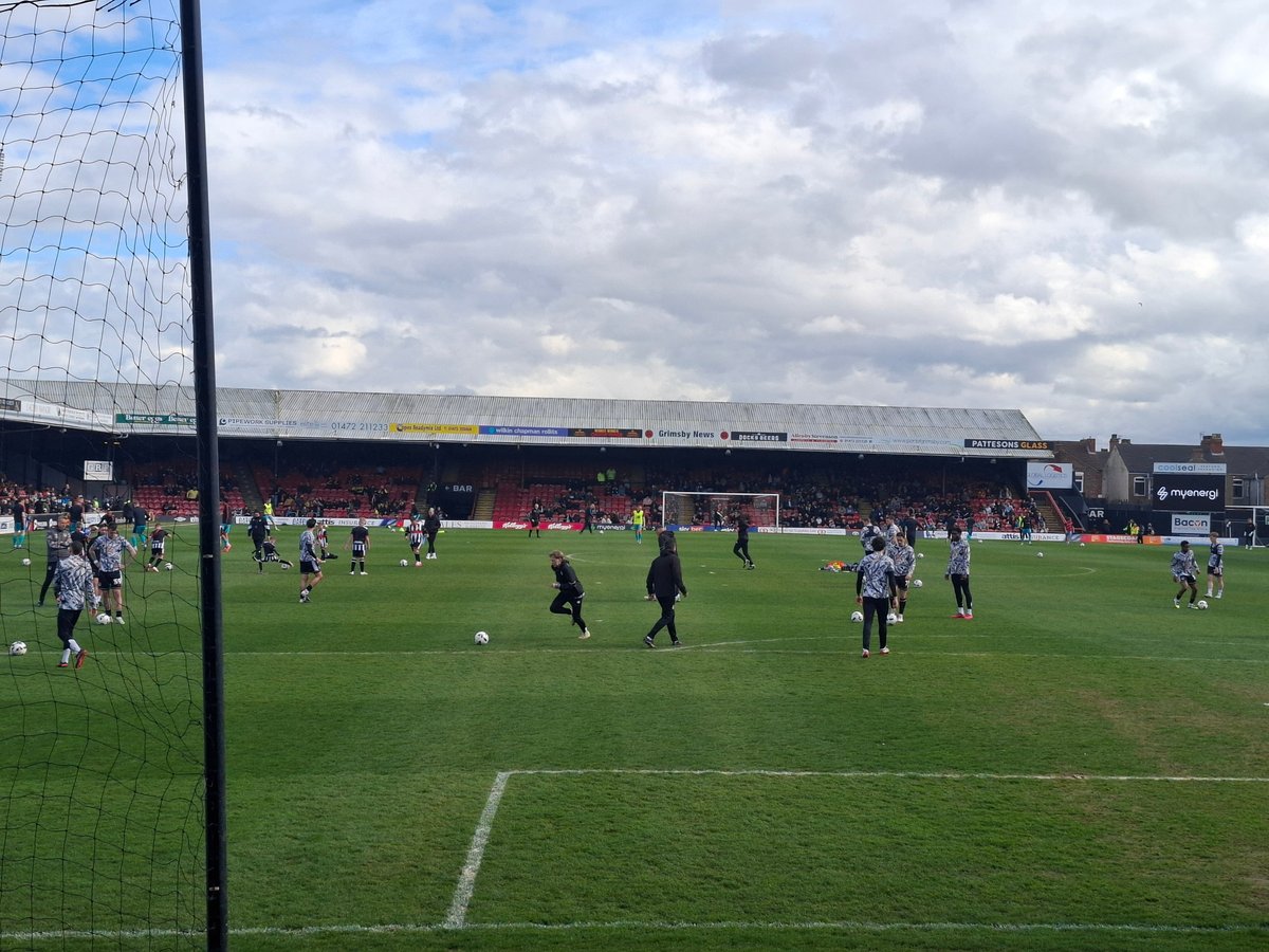 Daniel Tortoise tweet media