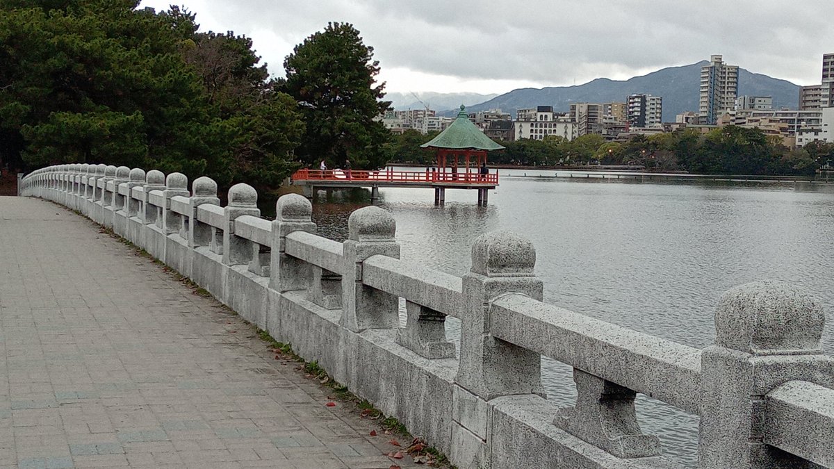 きまぐれかるま🦊 tweet media