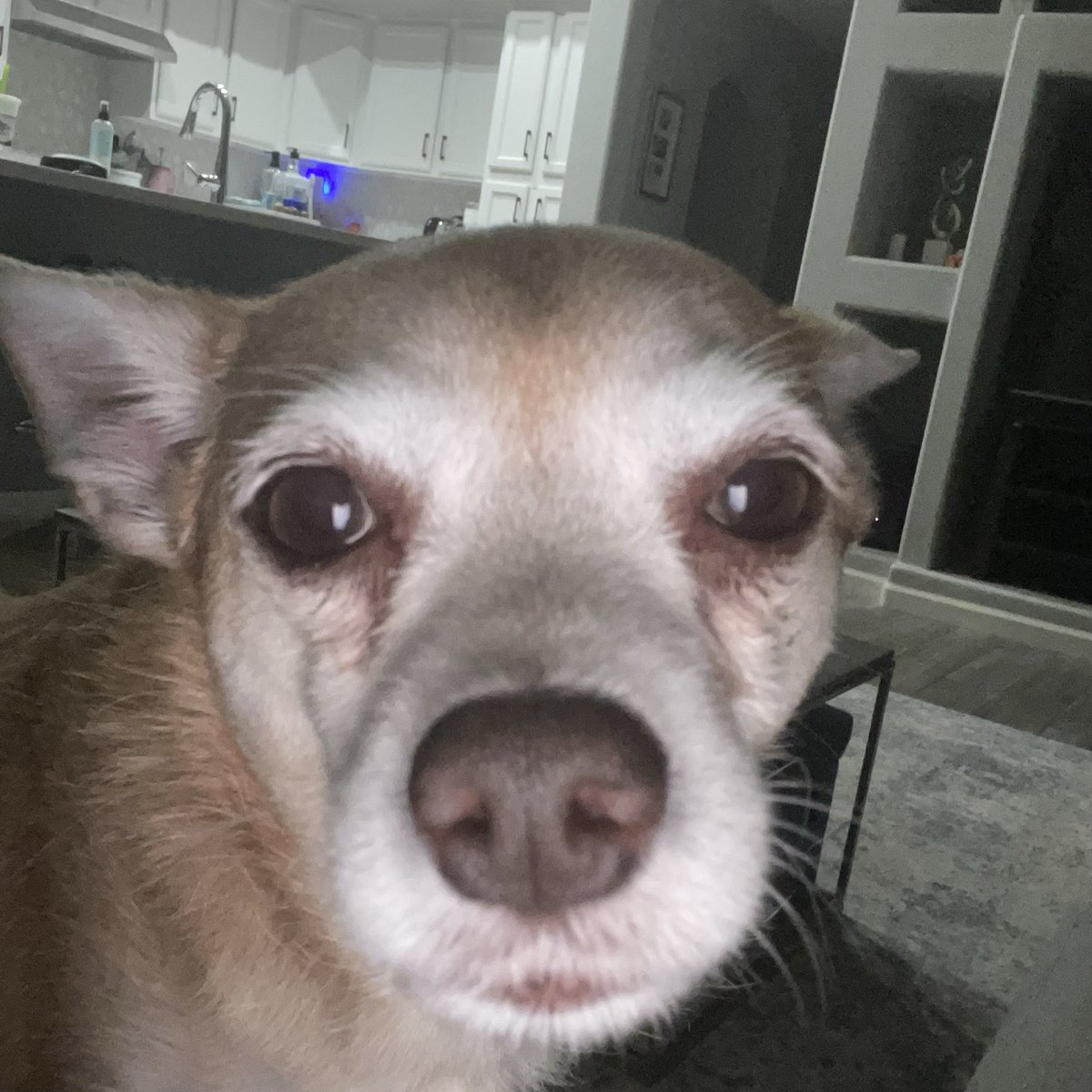 JMillan2 tweet media