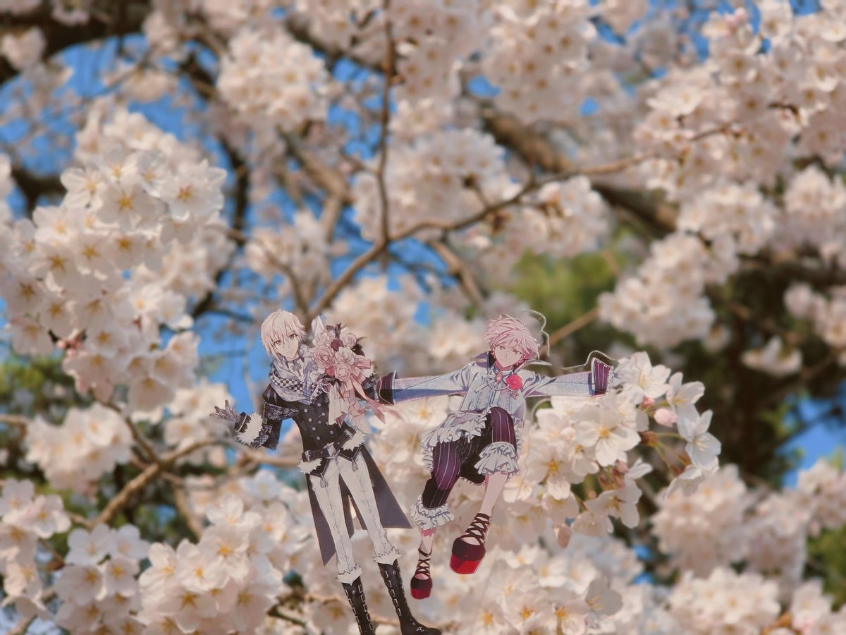 새우젓 tweet media