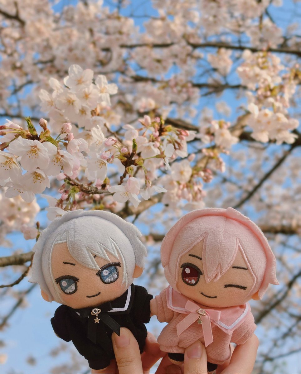 새우젓 tweet media