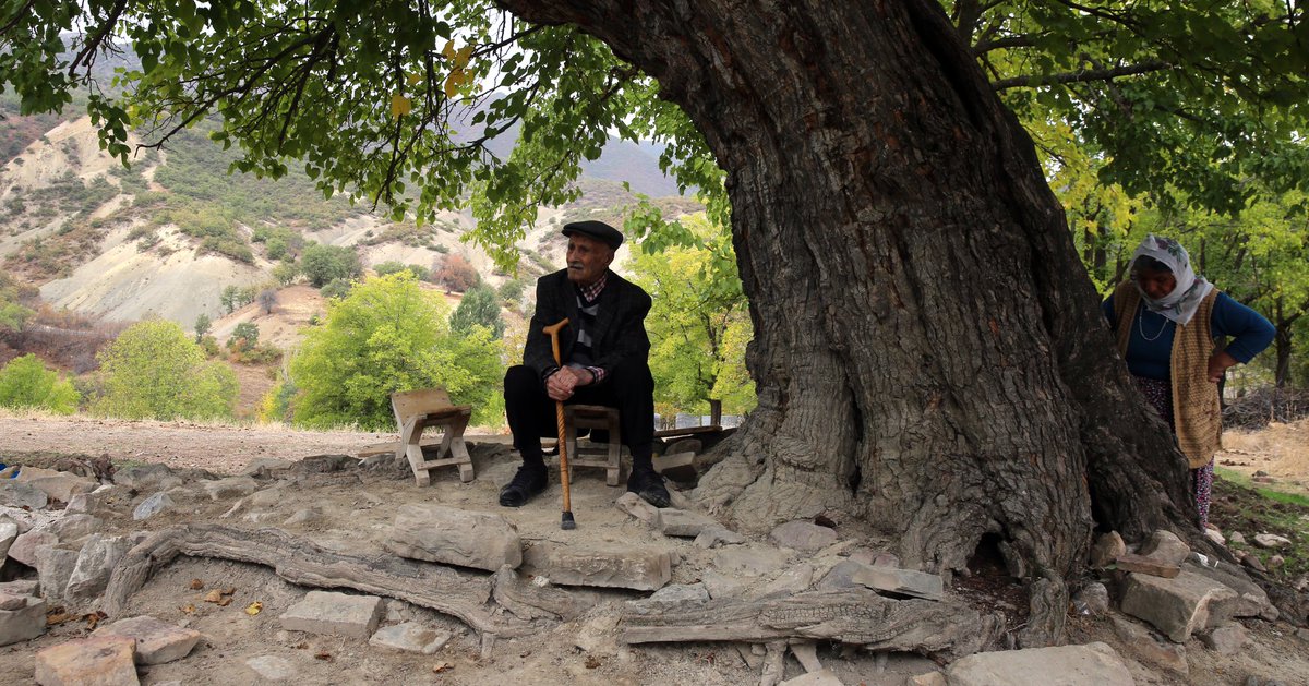 Caner Canerik tweet media