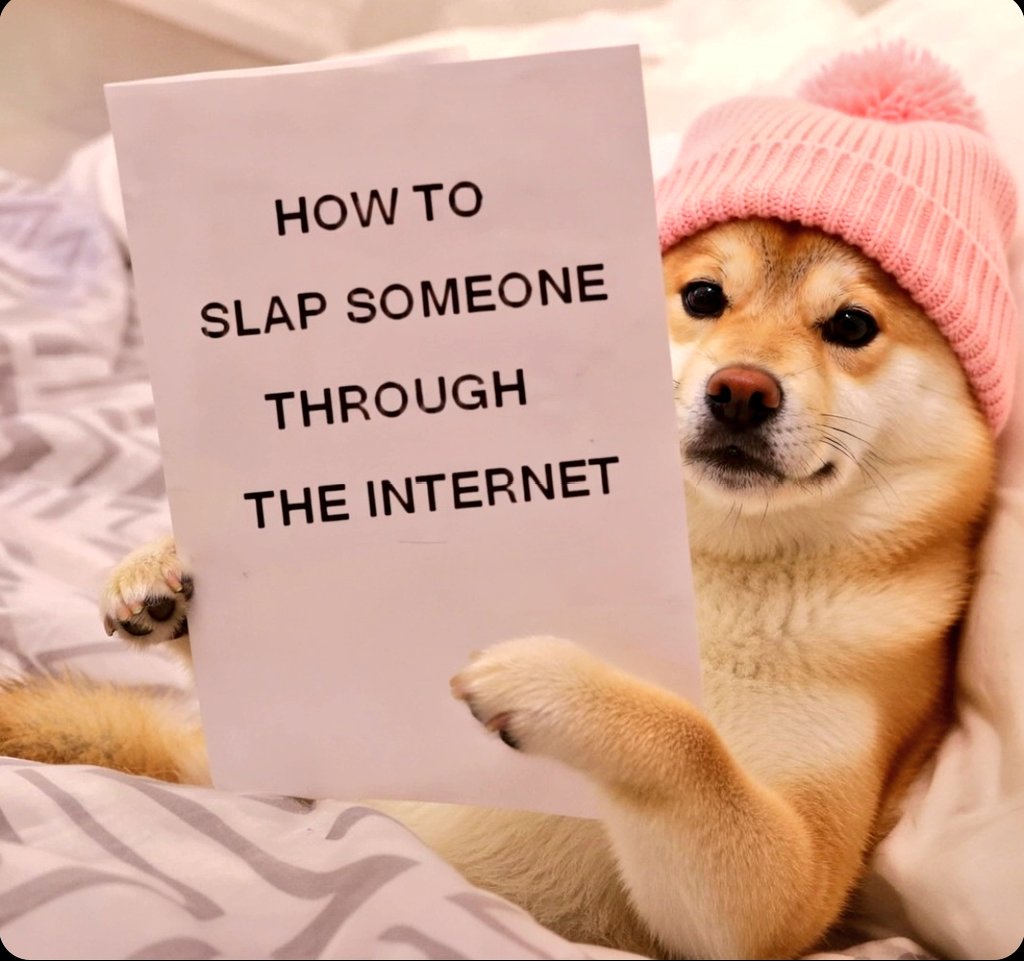 Boho 🌊 tweet media