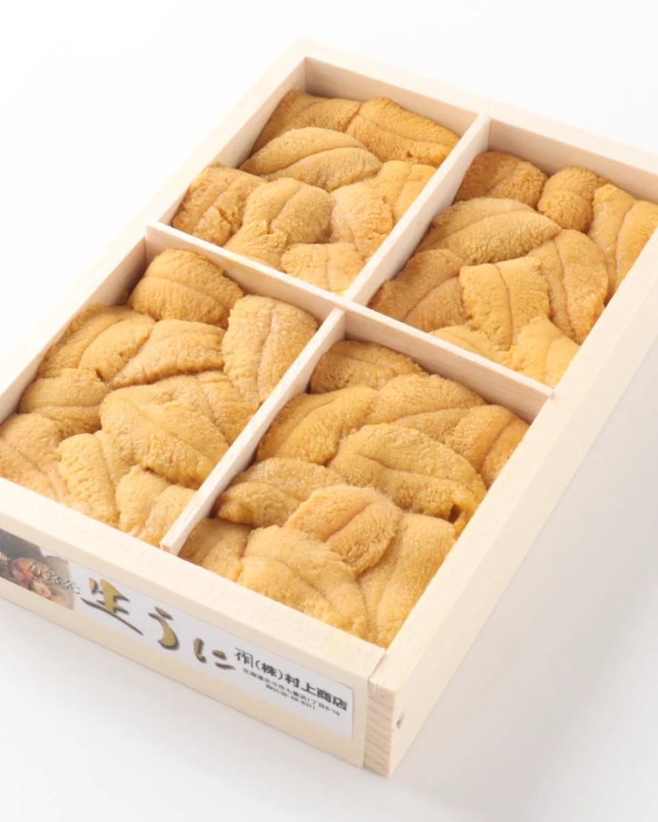 べりりうむ　宗31個 HFDODkFakAAb55A?format=webp&