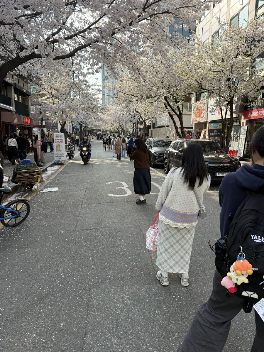 🧶공사중🧶 tweet media