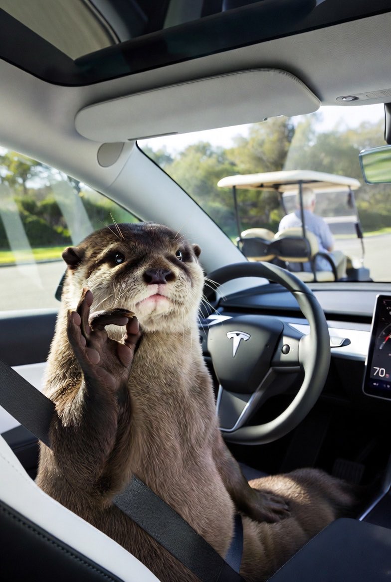 Wuppi ꥟ #FreieRedeJetzt tweet media