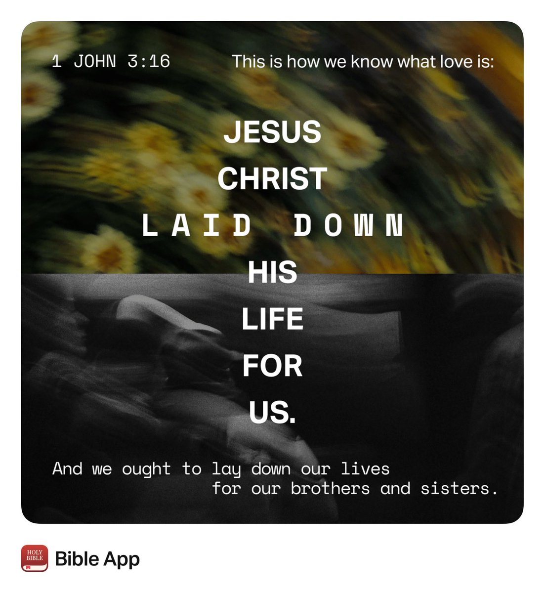 Loraine Phyllis Powell tweet media