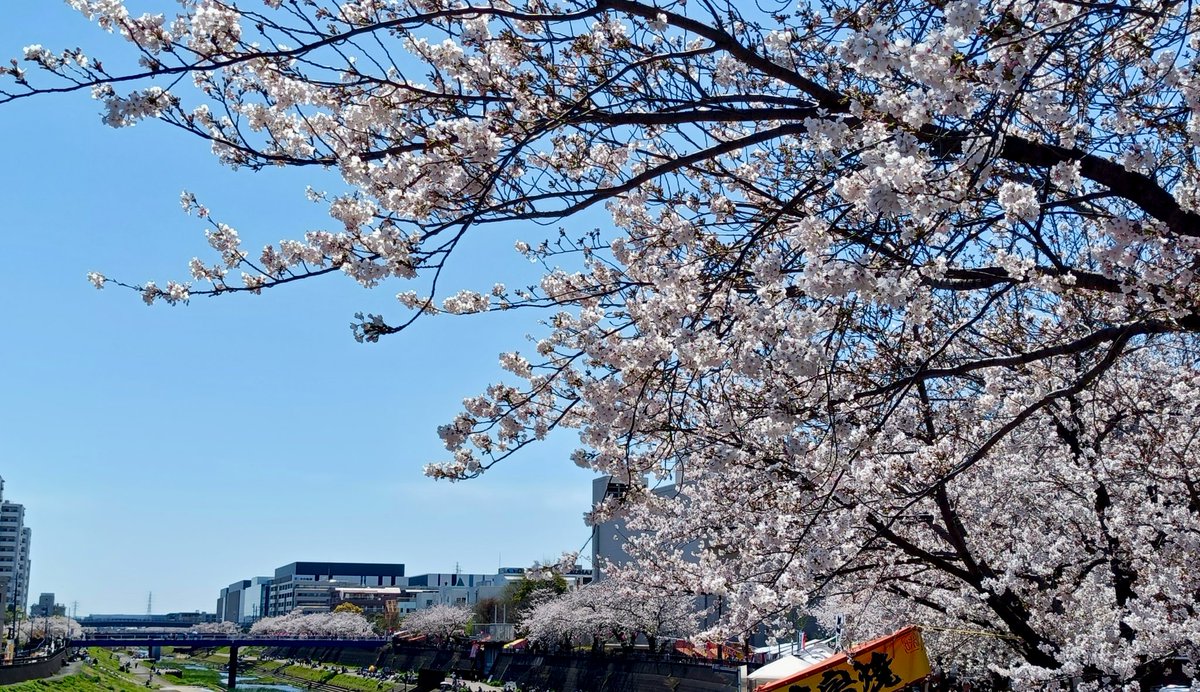 チャミ tweet media