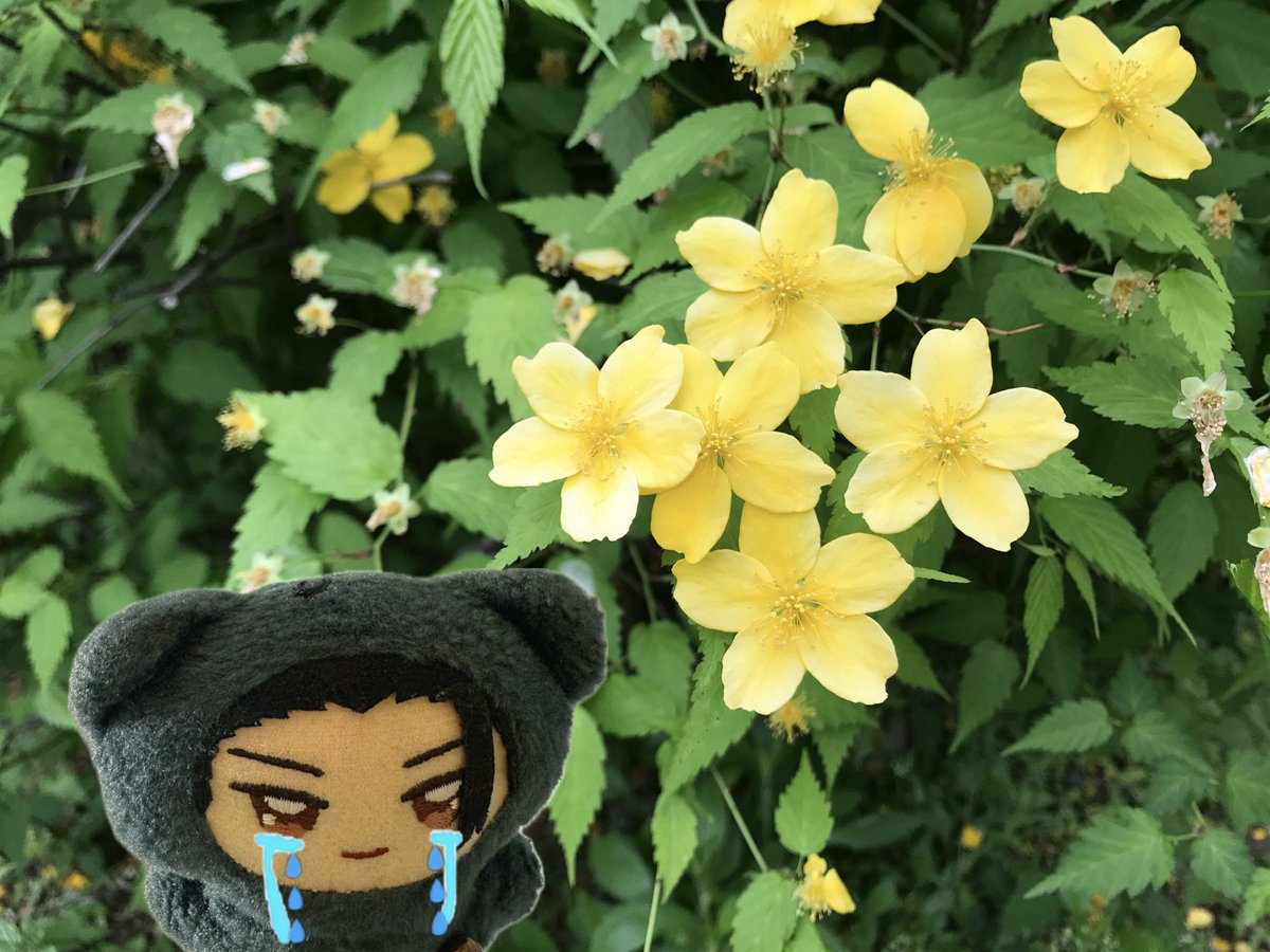 🌷KRMJ SWKT🌷 tweet media