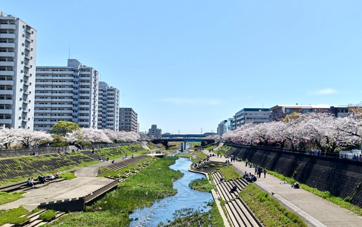 チャミ tweet media