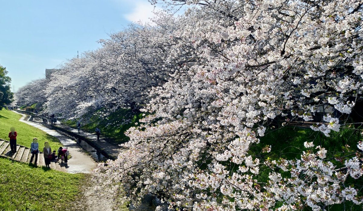 チャミ tweet media