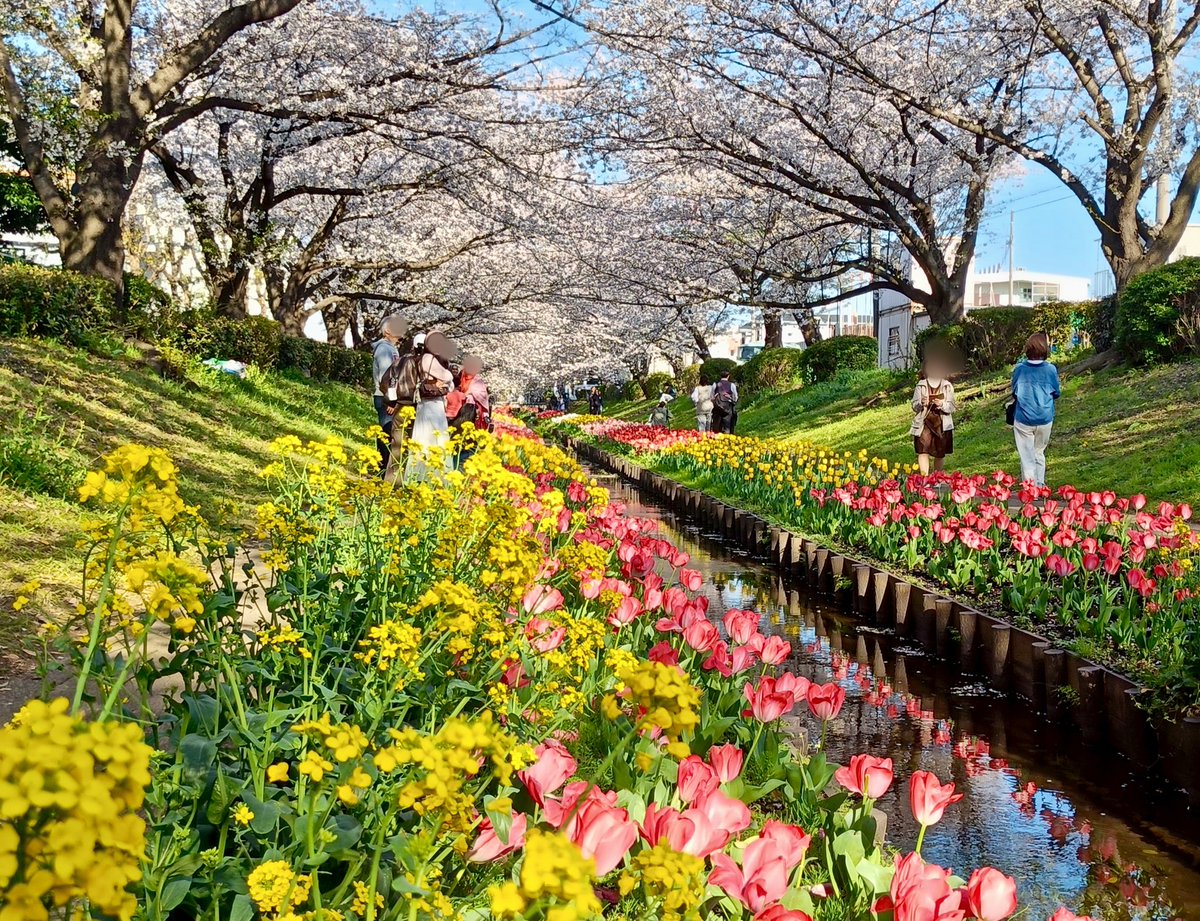 チャミ tweet media