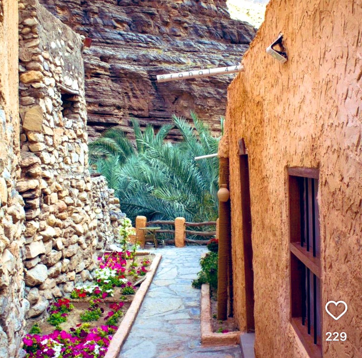 خالد آل دغيم tweet media