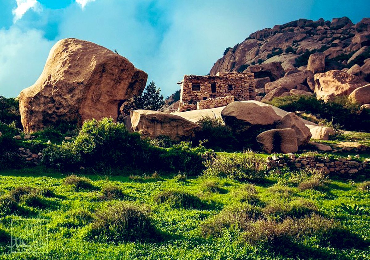 خالد آل دغيم tweet media