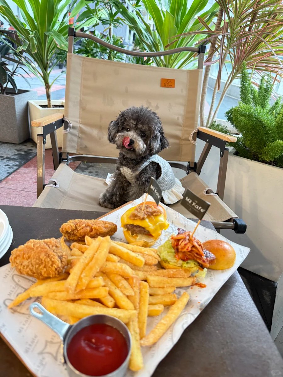 不吃香菜（互fo） tweet media