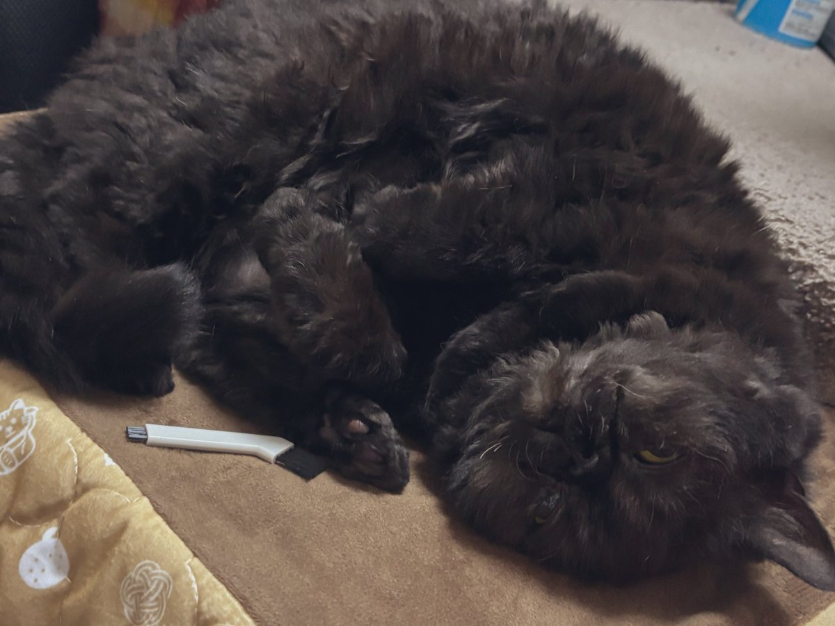 ちゃちゃっとまるっと tweet media