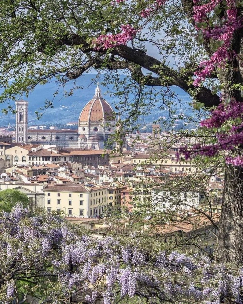 OThingstodo tweet media