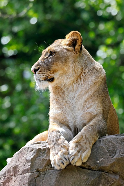 Diane Rodriguez tweet media