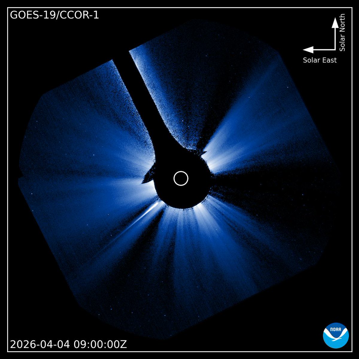 ちむら tweet media