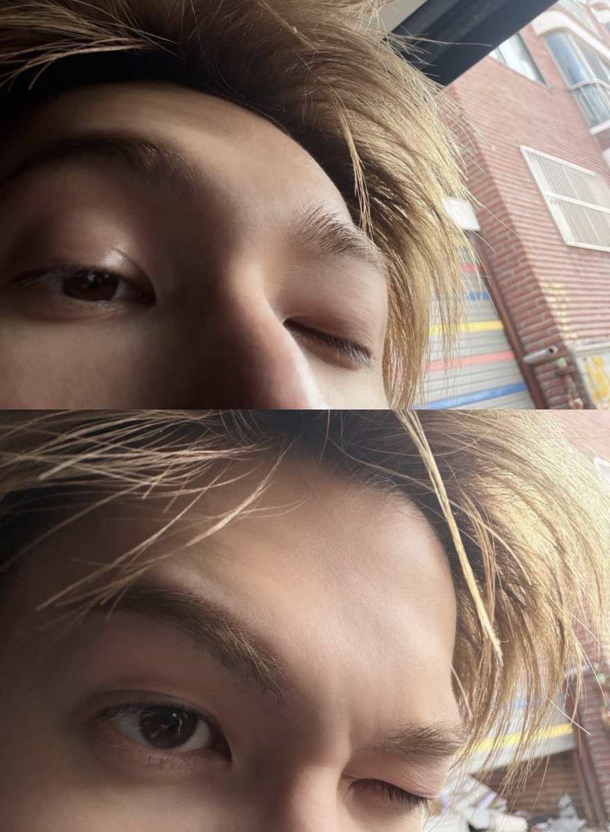 adrianna tweet media