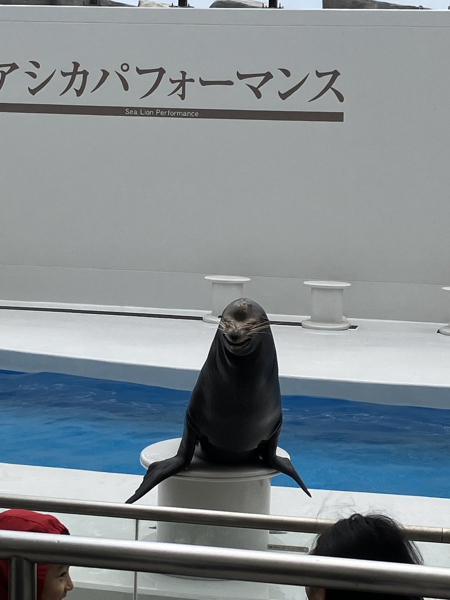 Oioi169's tweet photo. @ma_sammy_coc あざした！ https://t.co/OZf9weeQ6d