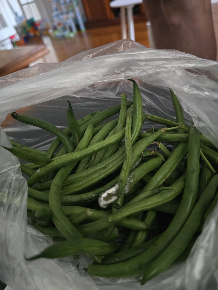 Rockingham32448's tweet photo. @woolworths i should know better than to trust your online shoppers to pick fruit and veg thats not busted but I always seem to fall into the trap that your staff dont hate their jobs, and the customers who pay their wages, thanks so much for our Easter lunch and dinner editions https://t.co/jVGGMGN9PQ