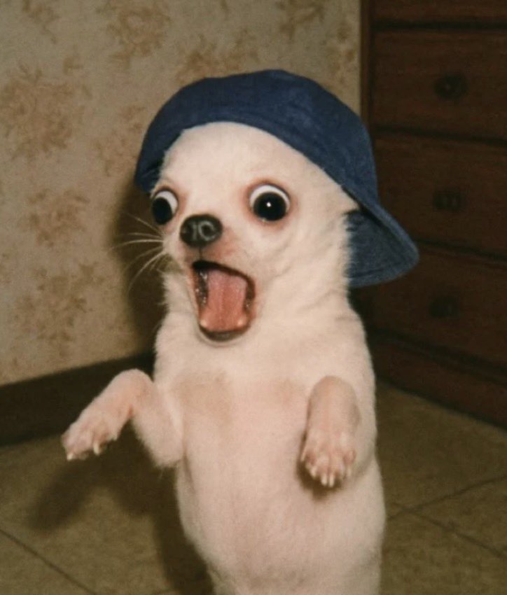 ノックアウト 🎌 tweet media