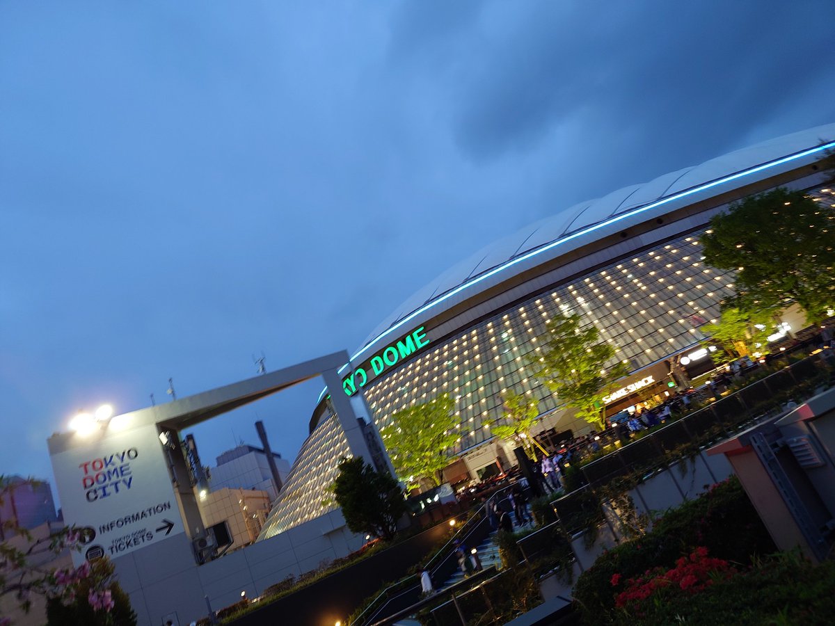 マイスター tweet media