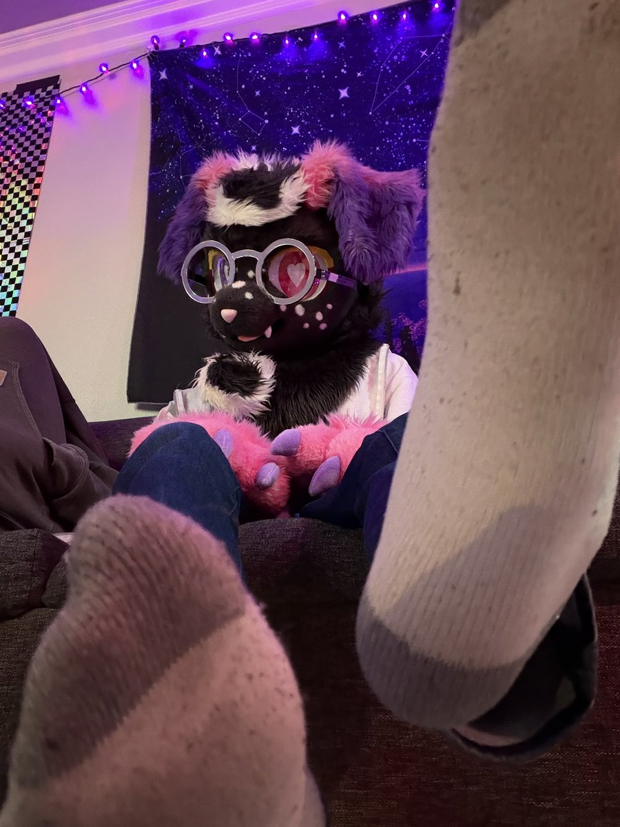 alexx 🐾🔞 tweet media