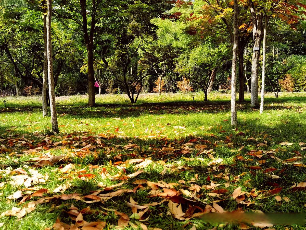 Raj Kumar tweet media