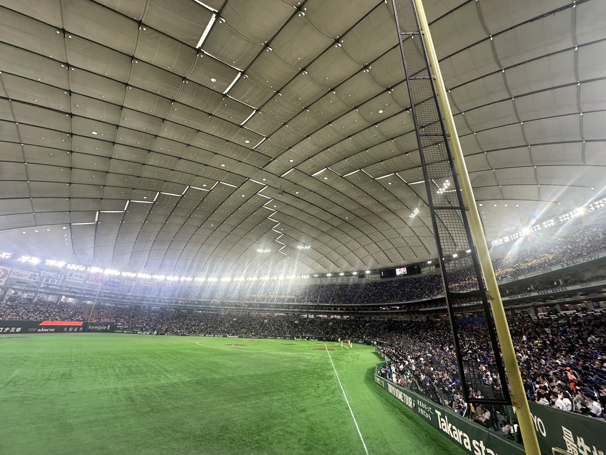 めろんさん🍈 tweet media