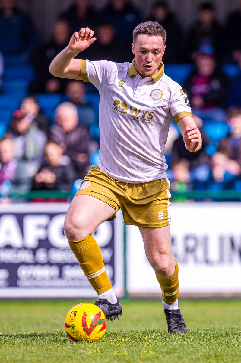 CPD Tref Caernarfon Town FC tweet media