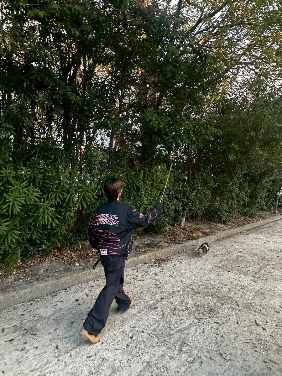 BMSG TRAINEE Official tweet media