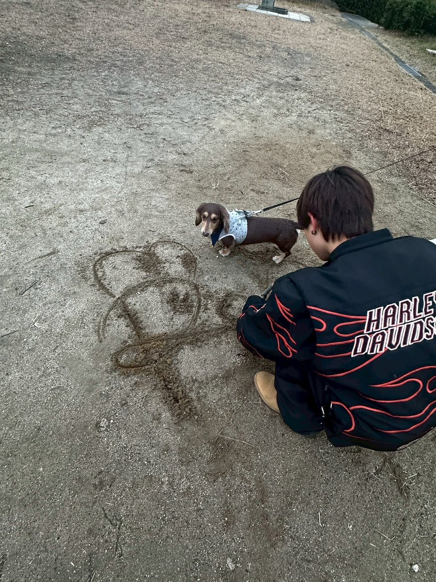 BMSG TRAINEE Official tweet media