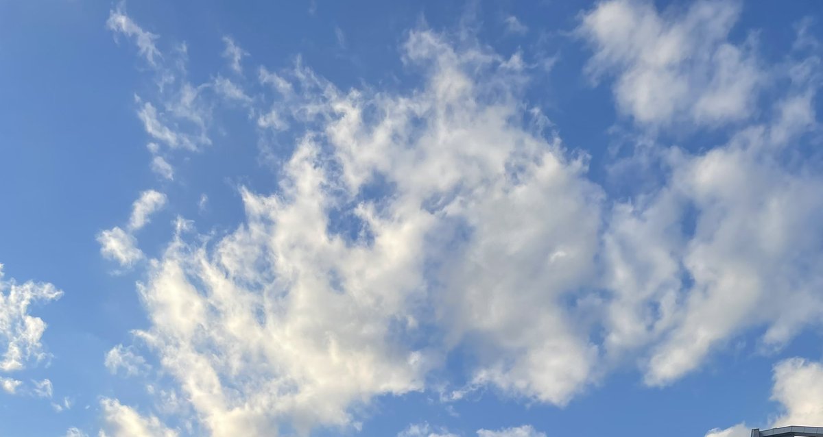 6시가 되지않으면 나갈수없는 방에서
나오니까 맑아졌네

배고파요 저메추좀