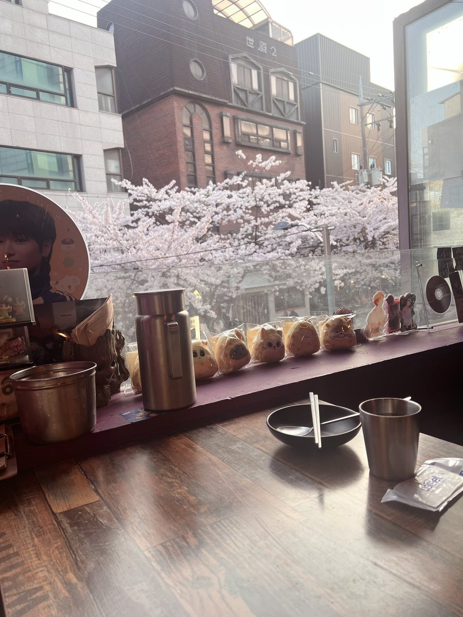 채또또 tweet media